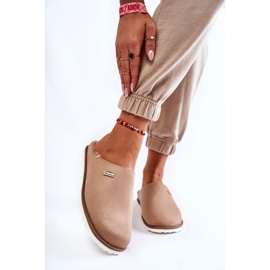 Papuci Calzi Domestici Inblu CS-34-011 Bej 2