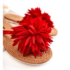 WJ1 Flip-flops dama cu decor din stofa rosie Eviana roșu 1