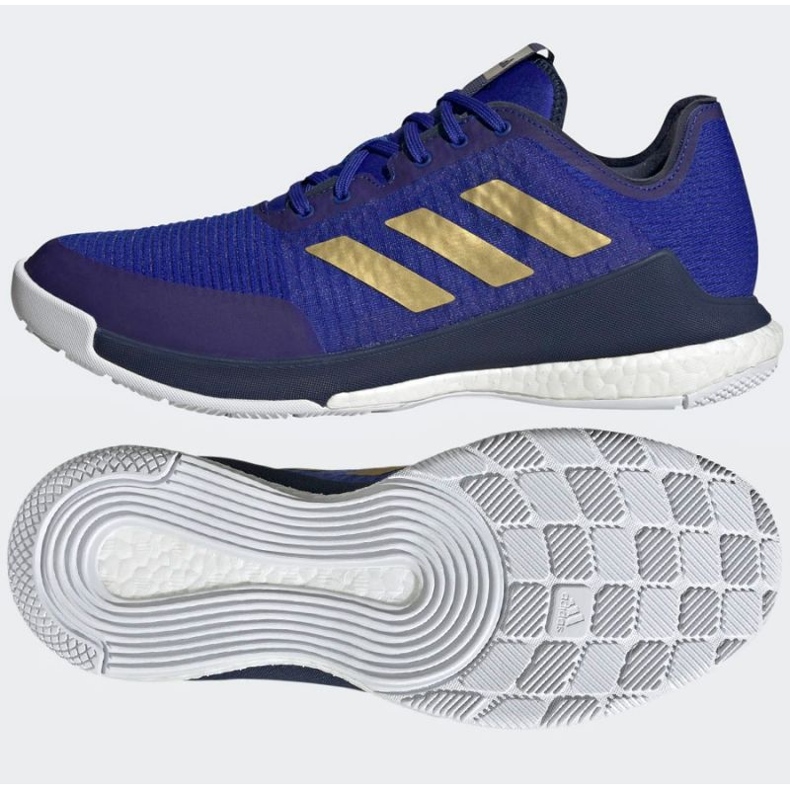 Pantofi de volei adidas CrazyFlight Mid M HQ3488 albastru albastru 1