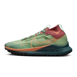 Pantofi de alergare Nike React Pegasus Trail 4 Gore-Tex W DJ7929-300 maro verde 1