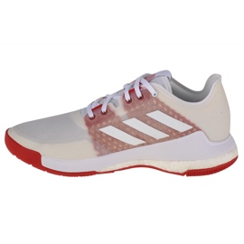 Pantofi de volei adidas CrazyFlight W EF2679 alb alb 1