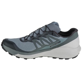Pantofi Salomon Sense Ride 4 M 412997 albastru 1